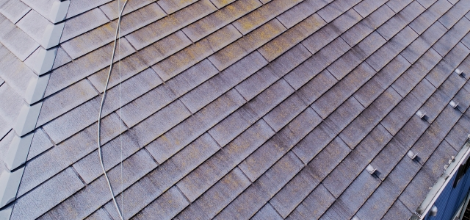 株式会社 みなとや